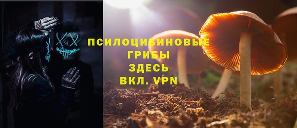 ECSTASY Костерёво