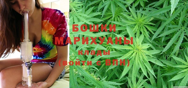 индика Коряжма