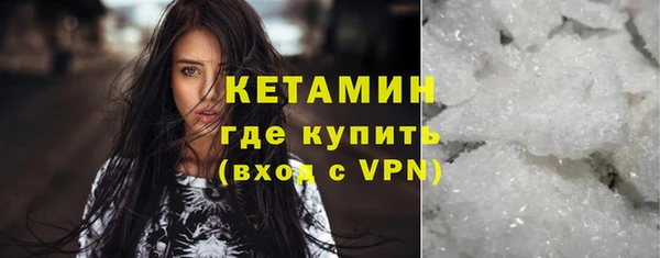 индика Коряжма