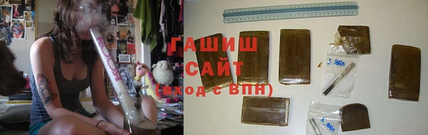 индика Коряжма