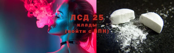индика Коряжма
