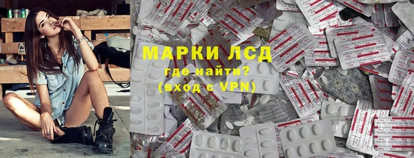индика Коряжма