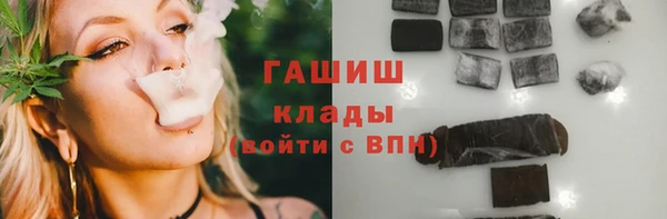 индика Коряжма