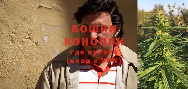 индика Коряжма