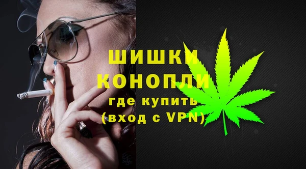 индика Коряжма