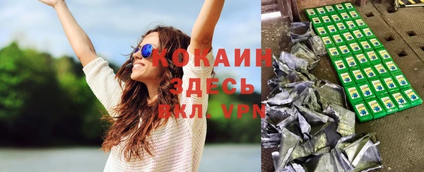 индика Коряжма
