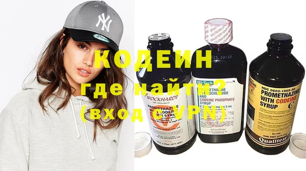 индика Коряжма