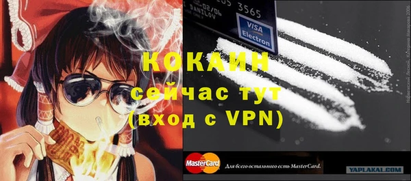 индика Коряжма