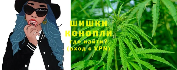ECSTASY Костерёво