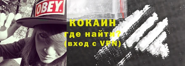 индика Коряжма