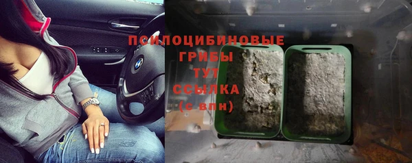 экстази Корсаков