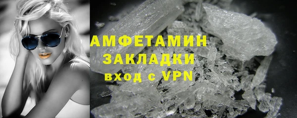 индика Коряжма