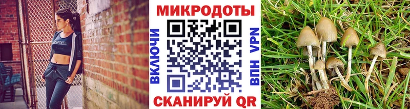 Галлюциногенные грибы ЛСД  Купить  Каменка 